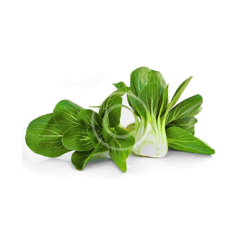 Chinese Cabbage