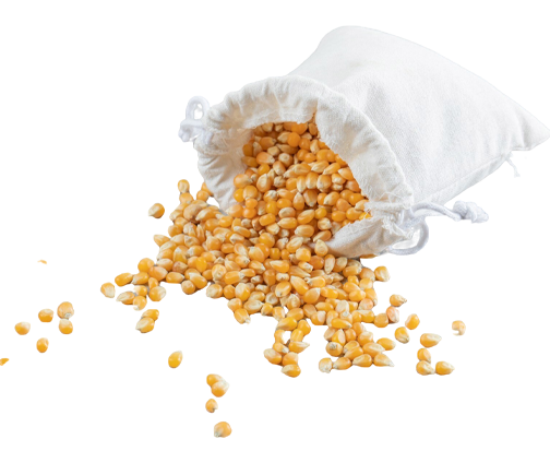 sac-of-corns.png